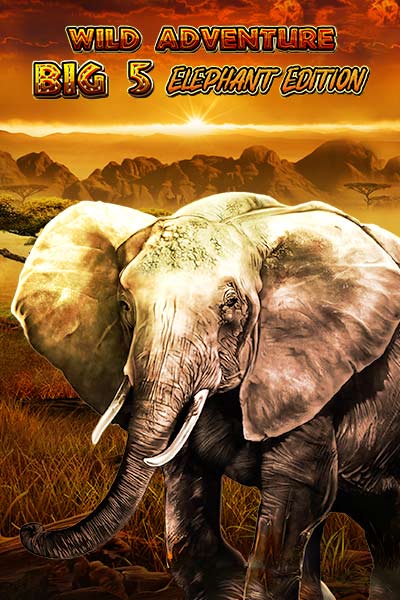 Wild Adventures - Big 5 Elephant Edition
