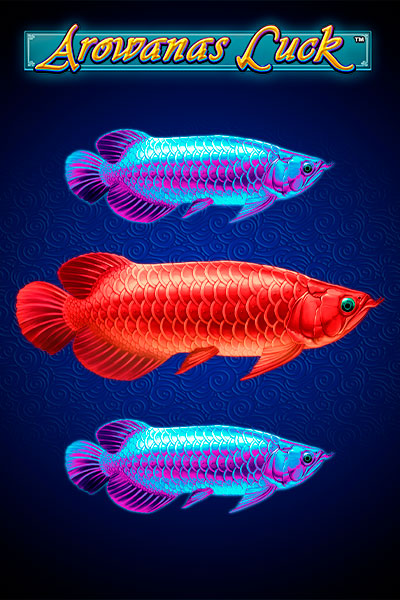 Arowanas Luck